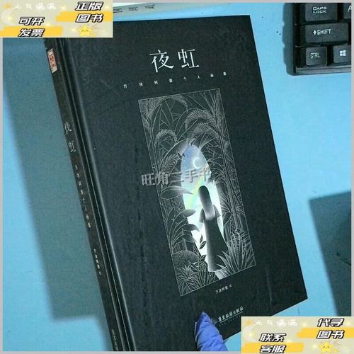框不住的霓虹，无止境的夜行——《夜虹 方块阿兽个人画集》赏迹